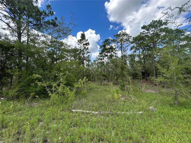 TBD SE 26TH STREET, Morriston, FL 32668
