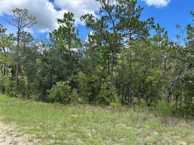 TBD SE 26TH STREET, Morriston, FL 32668