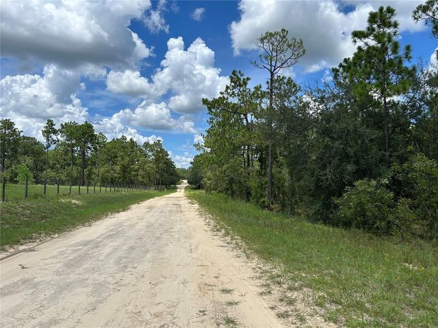 TBD SE 26TH STREET, Morriston, FL 32668