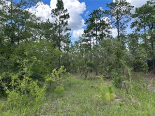 TBD SE 26TH STREET, Morriston, FL 32668