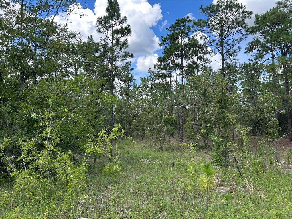 TBD SE 26TH STREET, Morriston, FL 32668