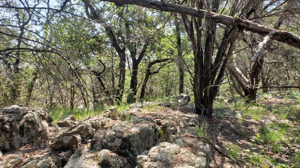 850B FM 2256, Mineral Wells, TX 76067