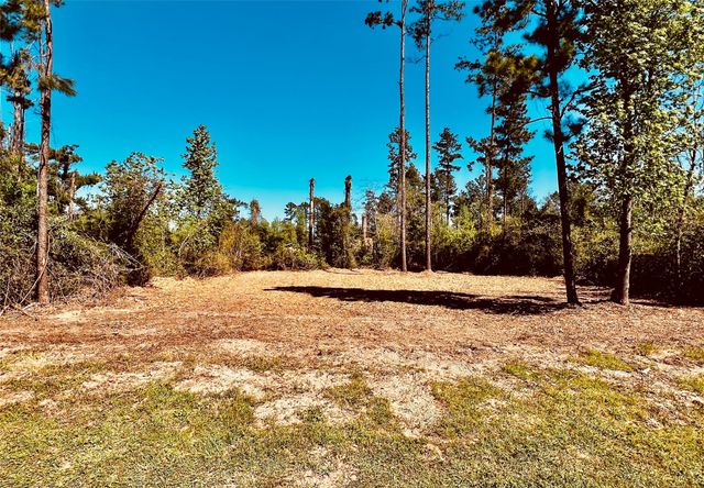171 Brahman, Onalaska, TX 77360