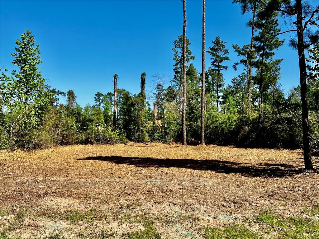 171 Brahman, Onalaska, TX 77360