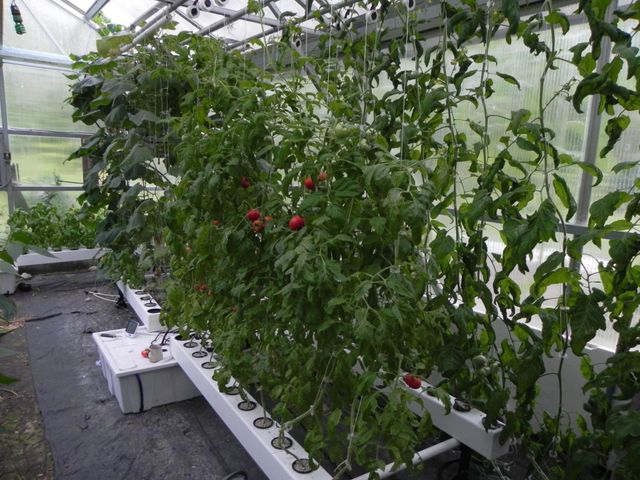 57 Oak Lane, Jamaica, VT 05343