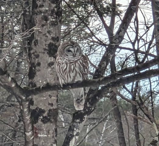 57 Oak Lane, Jamaica, VT 05343