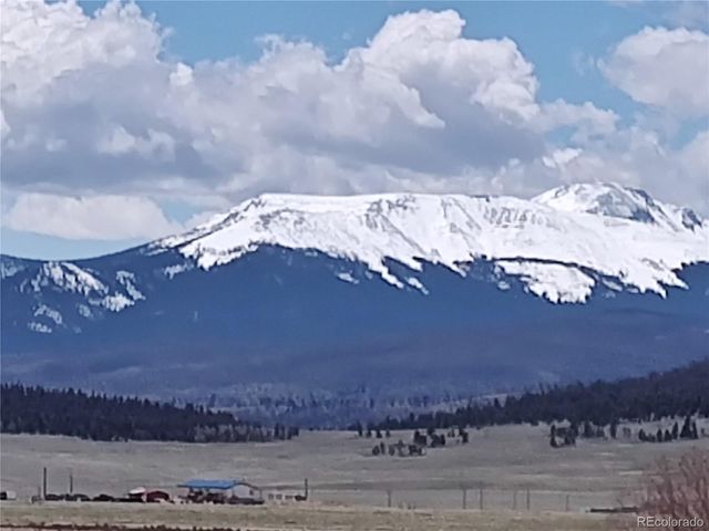 2584 High Creek Road, Fairplay, CO 80440