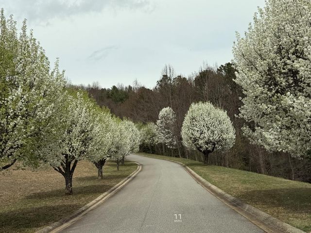 Lot73 Summit Trace, Blairsville, GA 30512