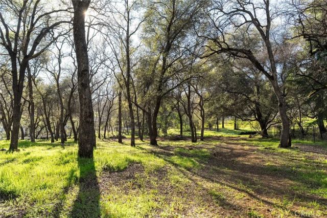 123 Grand Oak Drive, Oroville, CA 95966