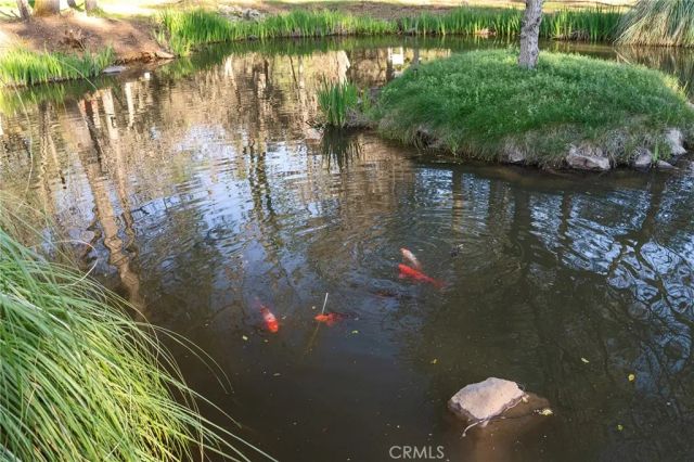 123 Grand Oak Drive, Oroville, CA 95966