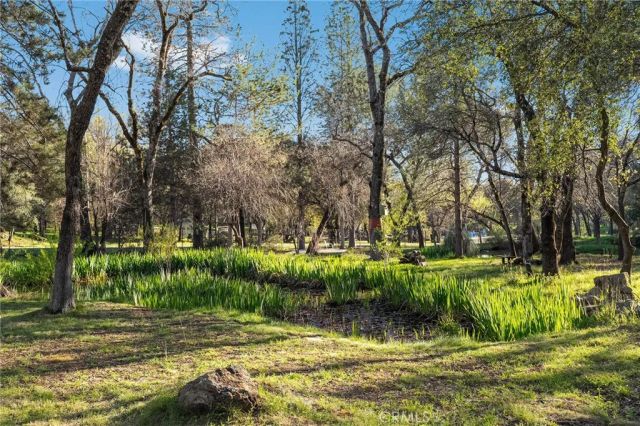 123 Grand Oak Drive, Oroville, CA 95966