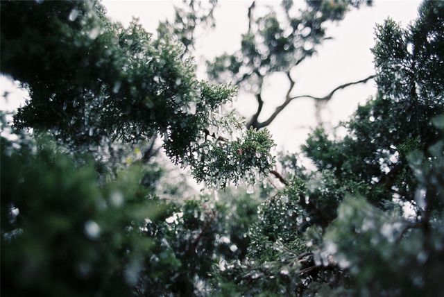 684 Stoneleigh RD, Center Point, TX 78010