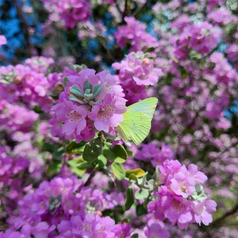 684 Stoneleigh RD, Center Point, TX 78010