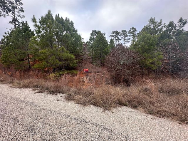 LOT 183 / R32300 Keo Kea CT, Bastrop, TX 78602