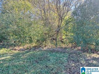 0 17TH STREET N, Pell City, AL 35125