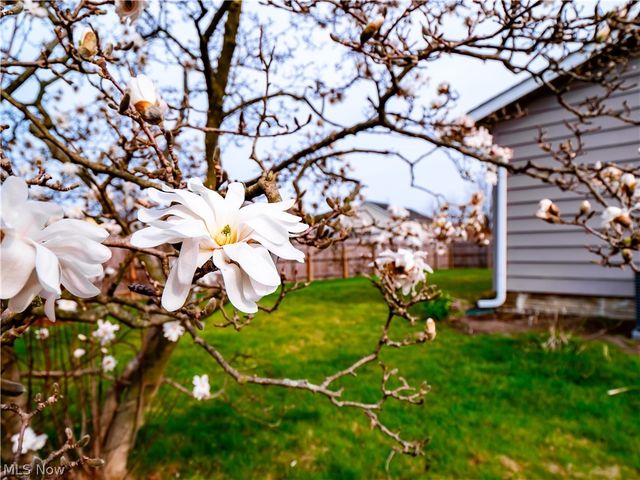 4710 Jaycox Road, Avon, OH 44011