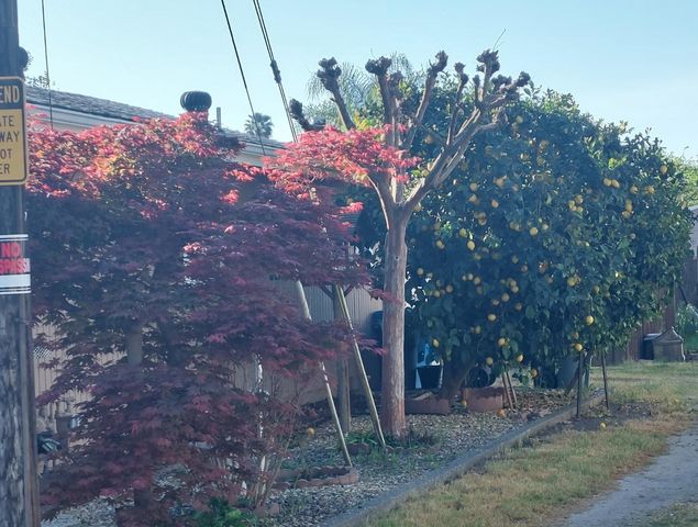 2798 Fir, Live Oak, CA 95953