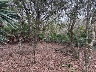 0 Old Grade Road, Polk City, FL 33868