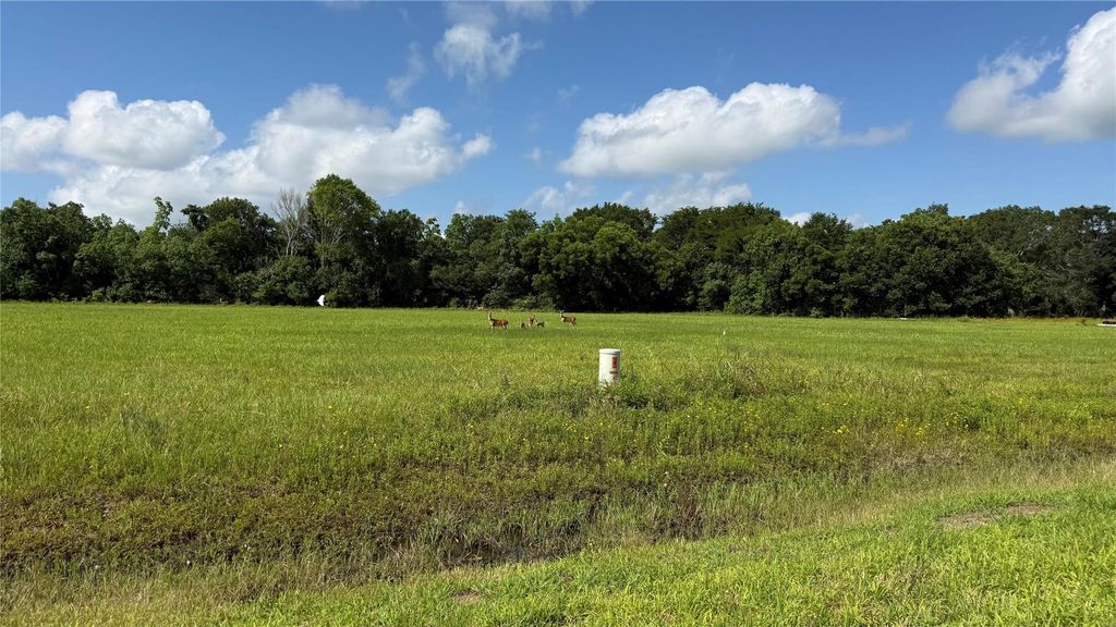1008 Chuckwagon Trail, Angleton, TX 77515