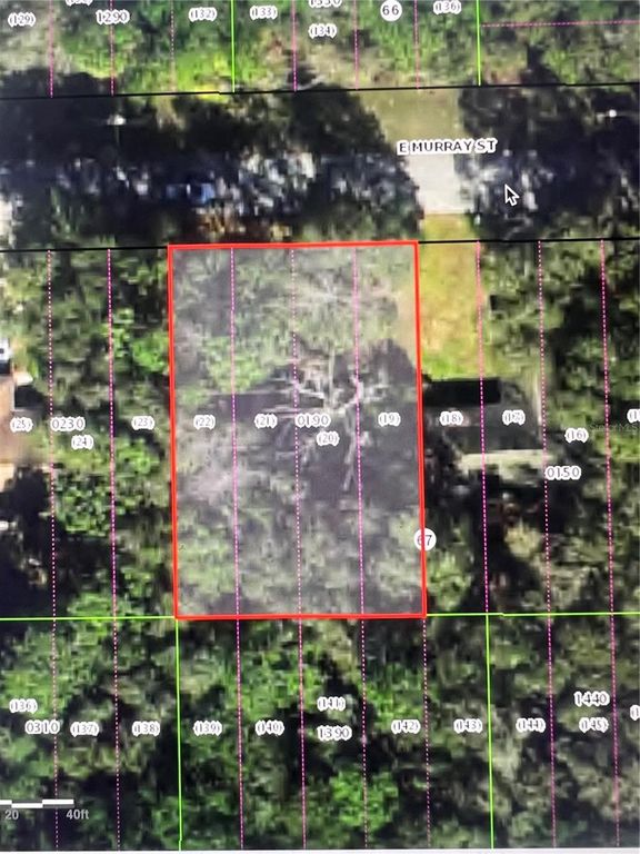 3404 E MURRAY STREET, Inverness, FL 34453