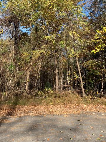 Lot 68 Peaks View DR, Moneta, VA 24121