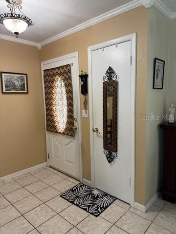 15709 CRYING WIND DRIVE, Tampa, FL 33624