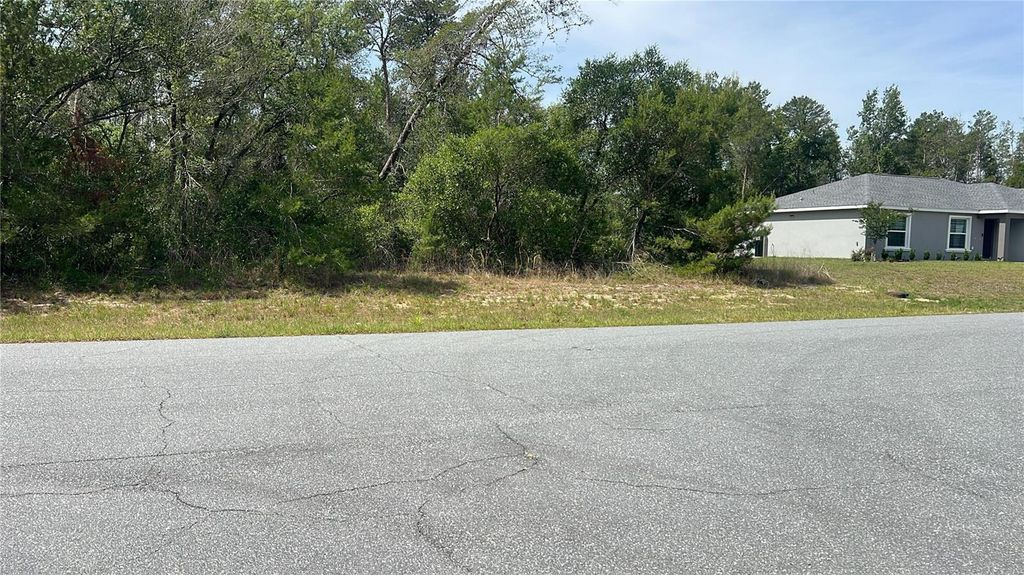 TBD MARION OAKS DRIVE, Ocala, FL 34473