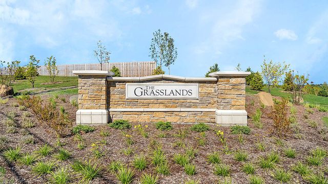 1242 Tiger Lily Drive, Bartlett, IL 60103