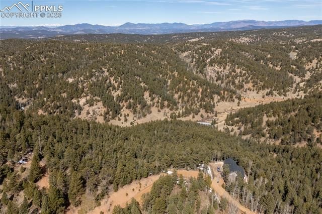81 Haven Road, Divide, CO 80814