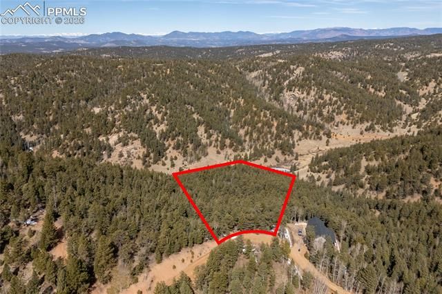 81 Haven Road, Divide, CO 80814