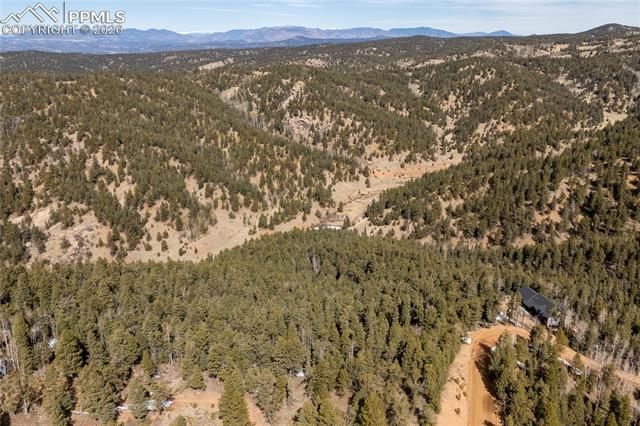 81 Haven Road, Divide, CO 80814