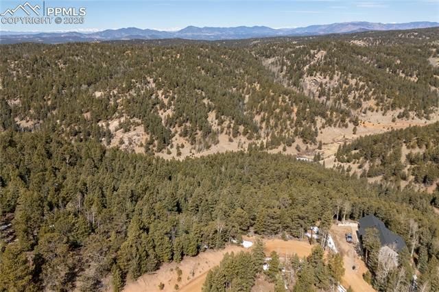81 Haven Road, Divide, CO 80814