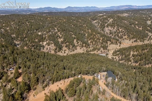 81 Haven Road, Divide, CO 80814