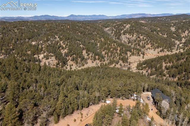 81 Haven Road, Divide, CO 80814