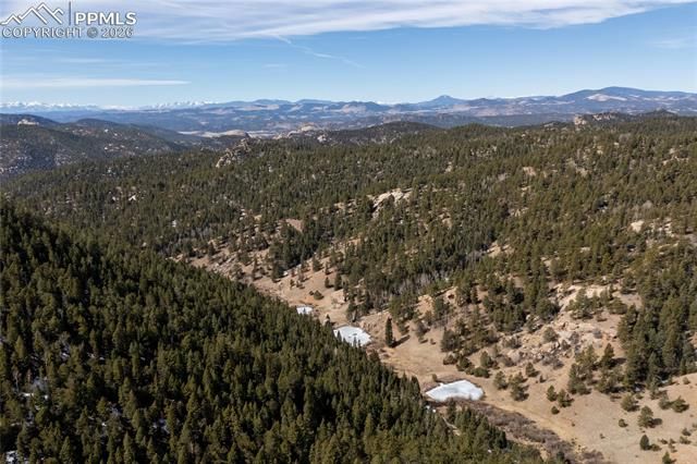 81 Haven Road, Divide, CO 80814
