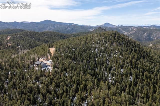 81 Haven Road, Divide, CO 80814