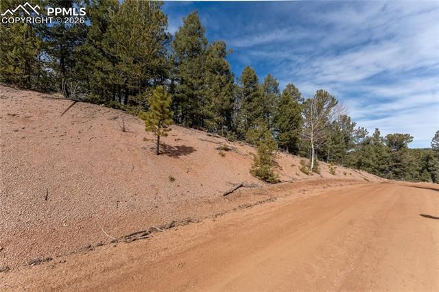 81 Haven Road, Divide, CO 80814