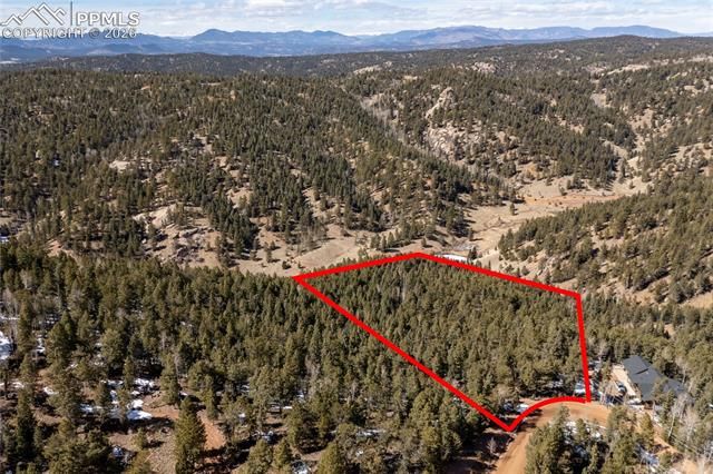 81 Haven Road, Divide, CO 80814