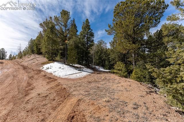 81 Haven Road, Divide, CO 80814