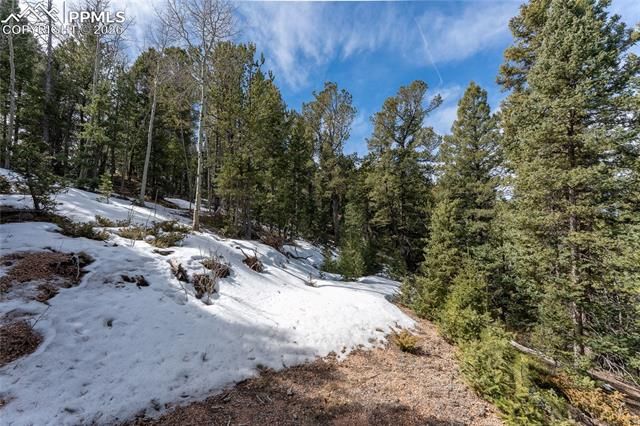 81 Haven Road, Divide, CO 80814