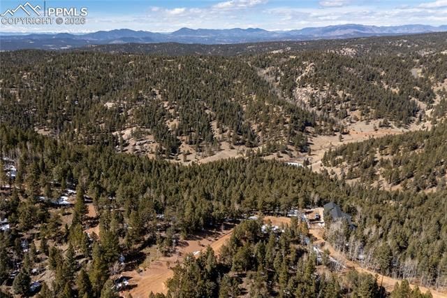 81 Haven Road, Divide, CO 80814