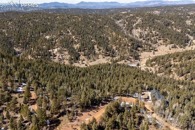 81 Haven Road, Divide, CO 80814