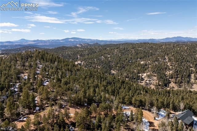 81 Haven Road, Divide, CO 80814