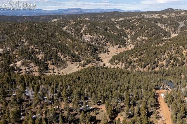 81 Haven Road, Divide, CO 80814