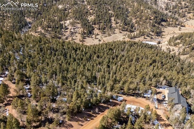 81 Haven Road, Divide, CO 80814