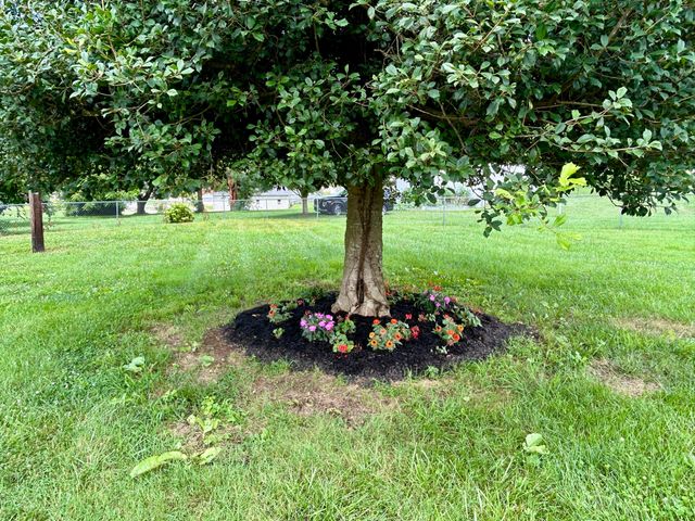 57 Country Hill Drive, Somerset, KY 42503