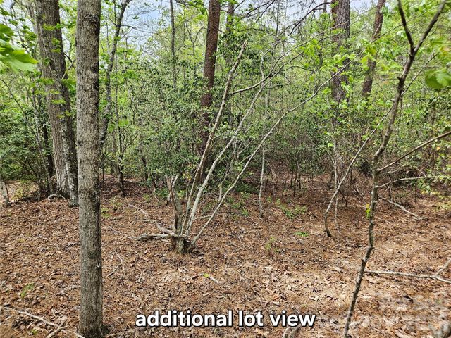 81 N Mill Ridge Road, Nebo, NC 28761