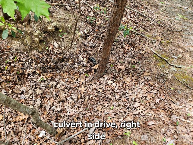81 N Mill Ridge Road, Nebo, NC 28761