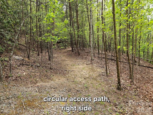 81 N Mill Ridge Road, Nebo, NC 28761