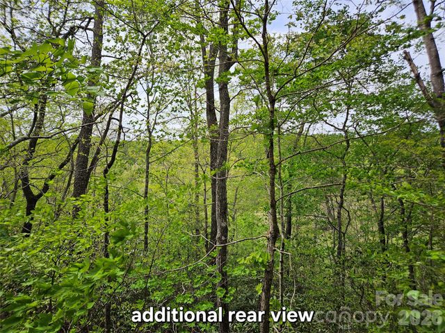 81 N Mill Ridge Road, Nebo, NC 28761